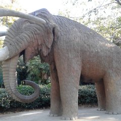 IMG 380